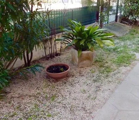 M140 - Marcelli, Trilocale In Centro Con Giardino ヌマーナ